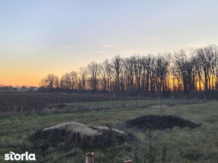 Teren 700 mp utili Teghes langa padure - 1