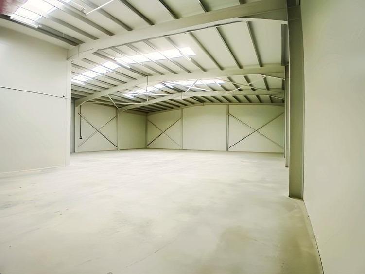 Hale noi, suprafata de 600 mp, in Chitila, Centura. - 1