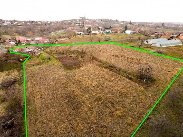 RECO, Casa cu 9168 mp teren intravilan, Sistera, Cetariu, Aproape de Oradea - 17