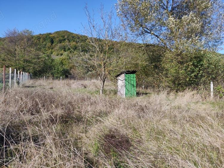 Vand casa de vacanta de 70 mp pe un teren de 1572 mp in Campul Cetatii la intrare in sat,langa sosea - 9
