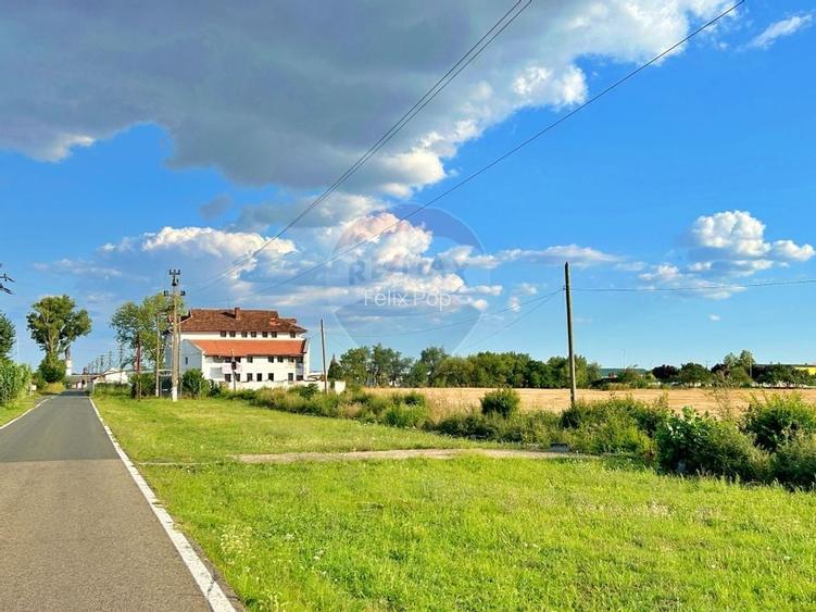 De vanzare pensiunea "Casa Alba" Pecica/Arad.