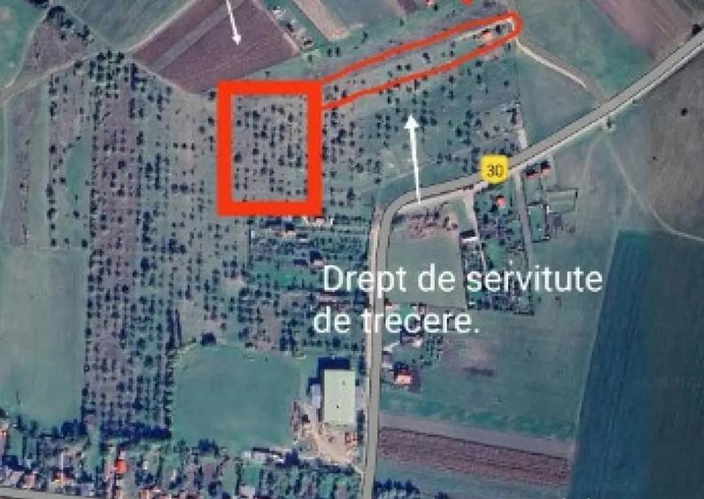 De vanzare teren extravilan in Valea Crisului - 1