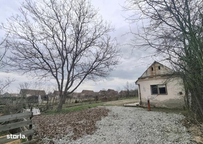 Casa individuala, teren 1355mp si livada de meri zona centrala Sacel - 5
