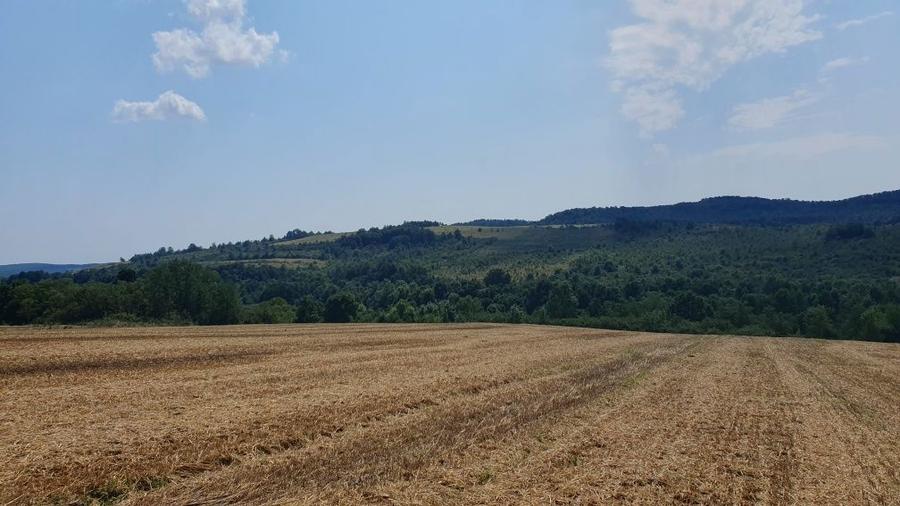 De vanzare teren in comuna Bogda judetul Timis !!! - 3