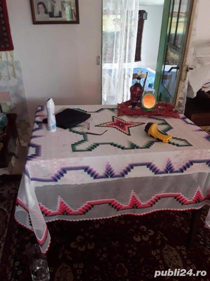 Casa la Tara .La 15 Km. de Panciu Jud. Vrancea. Comuna Clipicesti . - 6