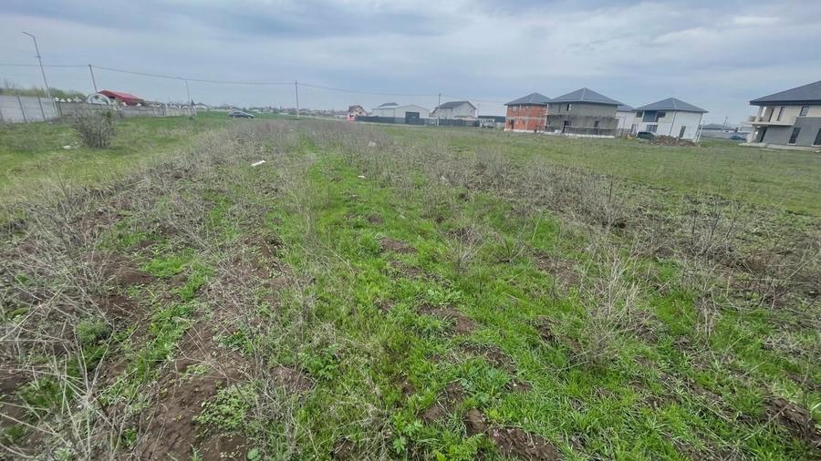 REL4001112 Teren I De Vanzare I Clinceni - 4