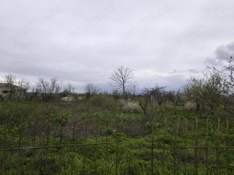 Se vinde casa batraneasca+ teren 2200 mp in Sat Izvoru, Arges - 7