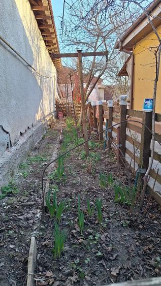 Casa 3 camere 70mp 360 mp - 3