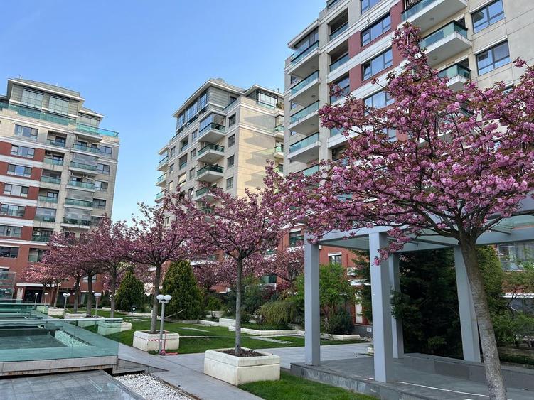 Vanzare Apartament Duplex Emerald Residence - 6