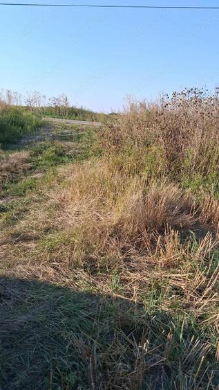 MCD Expert Imobiliare Vanzare teren agricol, Zona Izvoare - 5