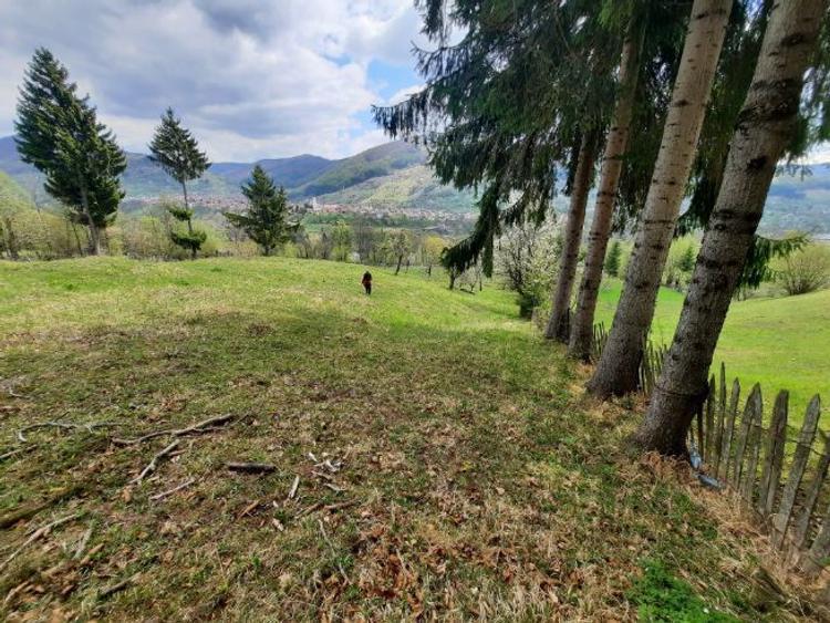 Teren intravil, VD, Prislop, Construcții, Investitie, Prop, Acte ok - 5