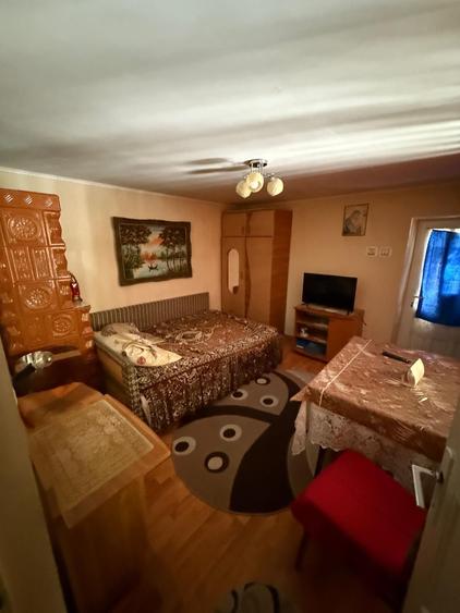 Casa de vanzare cu teren 922 mp Tecuci, cartier Balcescu - 1