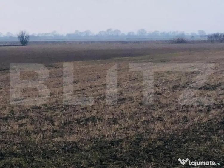 Teren extravilan de vanzare, 30.000 mp, cu potential de con - 4