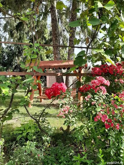 Casa cu aspect rustic de vanzare - 2