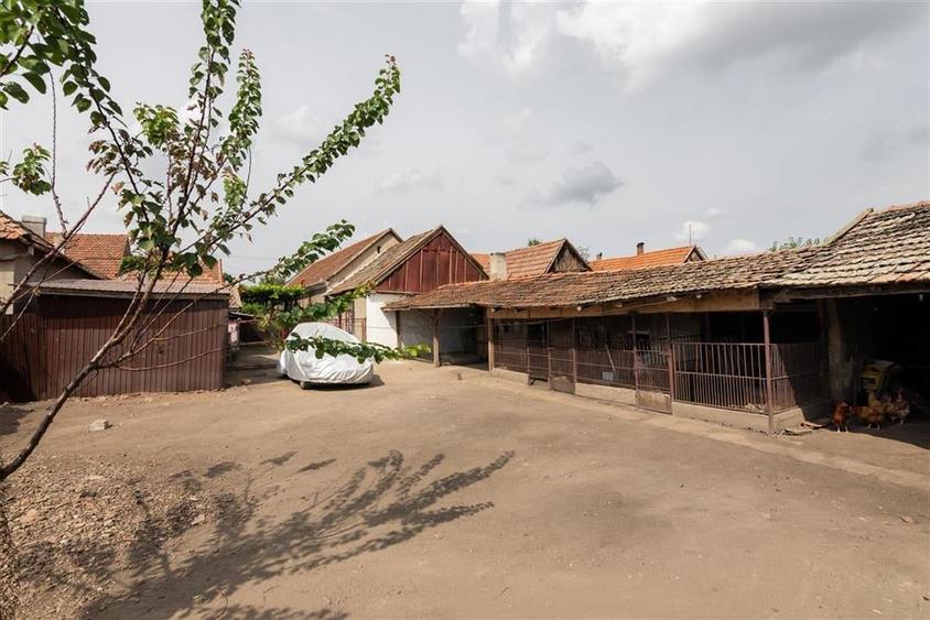 Teren mare cu 2 case si front la 2 strazi in Tamaseu - 28