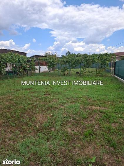 Gospodarie de vanzare Bro?teni | 14 km de Pite?ti | Teren 596 mp. - 5