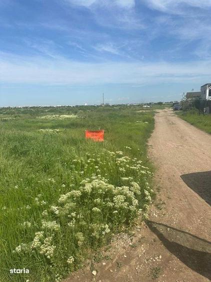 teren de vanzare Magurele - 4