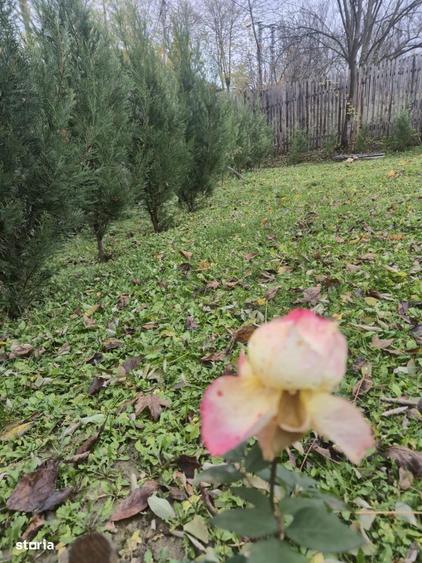 O casa cu suflet intr-un loc de vis va asteapta pentru o vizionare. - 2