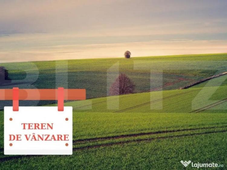Teren extravilan, 125000mp, Bara - 1