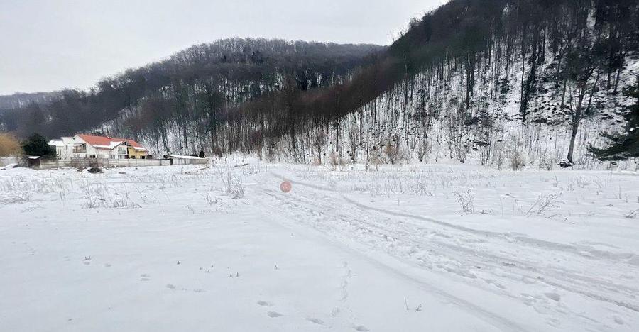 Teren intravilan - Sacele - Brasov - 6