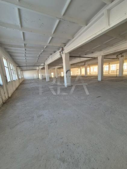 Spațiu industrial, de 3,600 mp, în Theodor Pallady