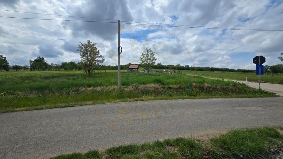 Teren Construcții intravilan de 1000 mp, în Ardud-Vii