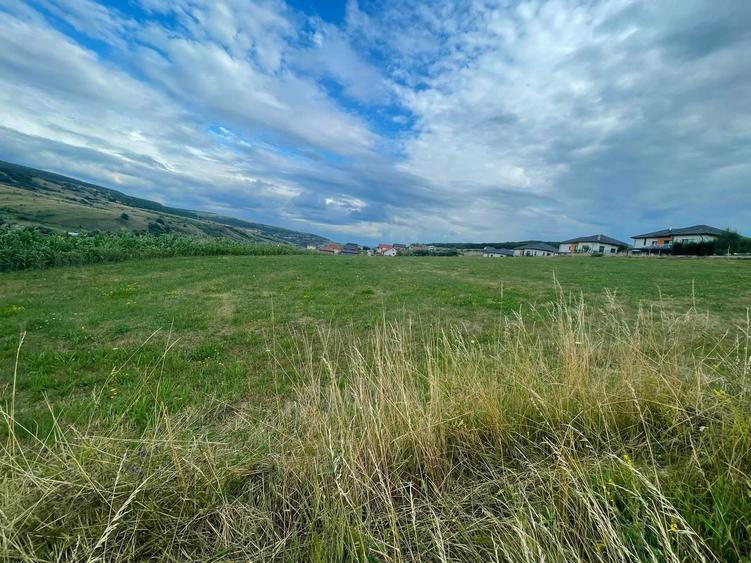 Teren de 5800 mp, în Corușu