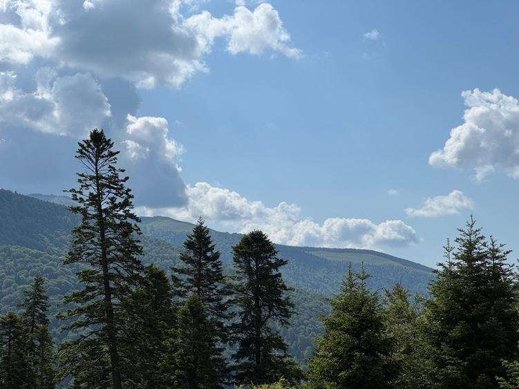 Sinaia, Furnica, 2025 - Pretul include apartament, loc de parcare si boxa!!! - 5