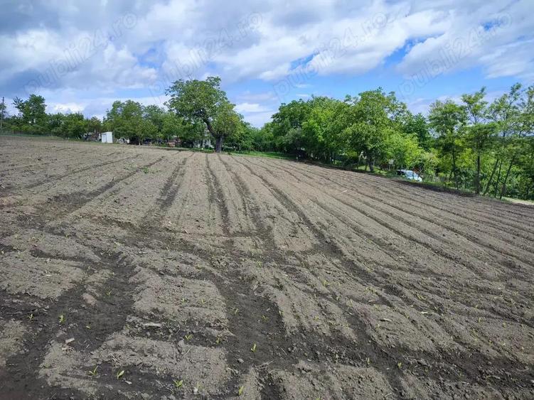 Teren intravilan in Manastirea Doamnei - 2