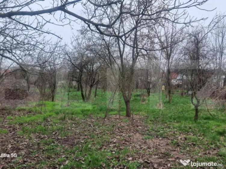 TEREN zona aer curat CASA si ANEXA - 12