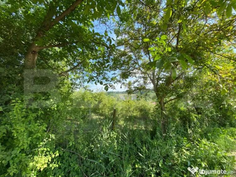 Teren intravilan de vanzare 30 ari Zona Podul Jelne - 2