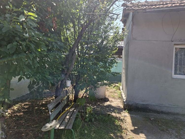 Vand casa in comuna colceag - 6