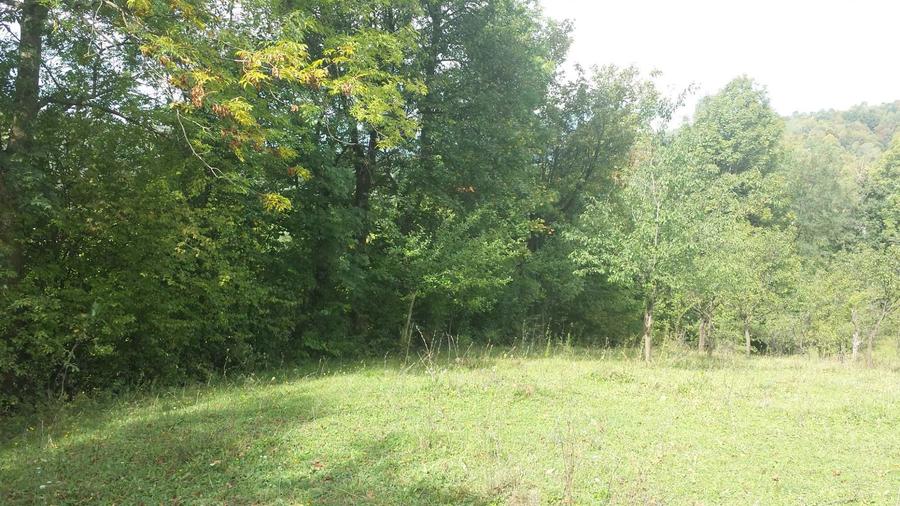 Teren intravilan Provita de jos(linga Breaza) PRAHOVA - 5