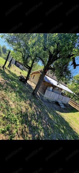 Casa si anexe + terenuri de vanzare - 2