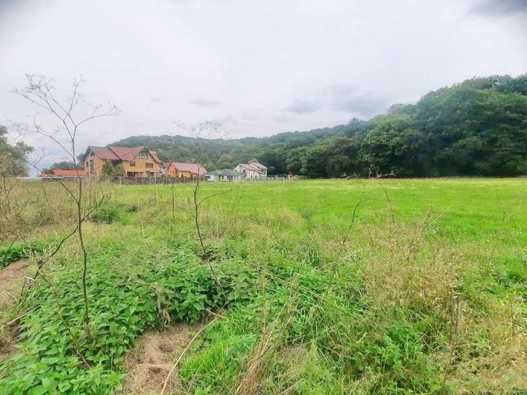 Teren superb Rasnov str Izvorului Cartierul Primaverii - 10