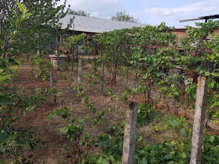 Casa in Vanatori Galati - 1