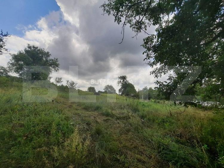 Anexa cu teren  5000mp, langa padure, Dobrovat