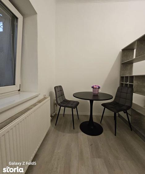 Apartament cu 1 camera, curte proprie separata Ultracentral Oradea - 8