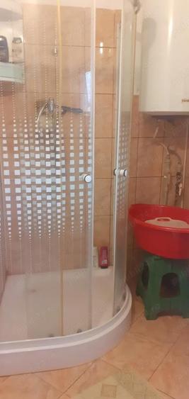 Casa cu curte mare ?i vie pe spalieri - 10