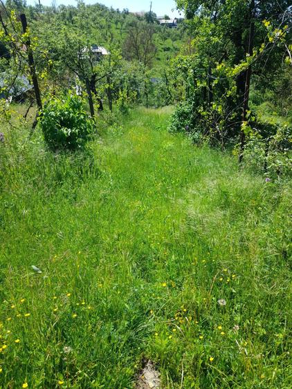 Casa din caramida. locuibila. Ocnita, jud.Dambovita. - 6