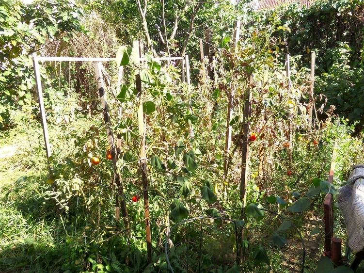 VILA  10 camere OPORTUNITATE CLINICA, GRADINITA - 13