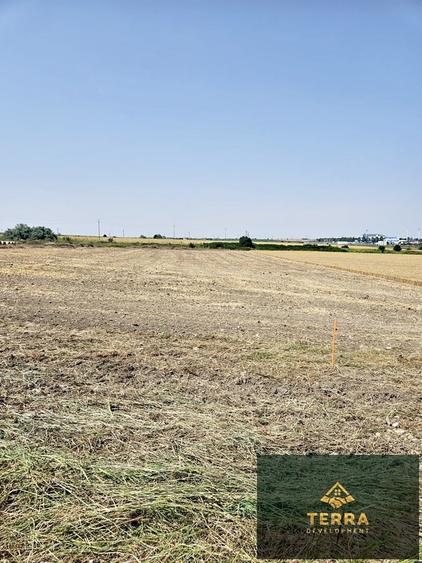 Loturi de teren , vis-a-vis de Insula Ovidiu - 3