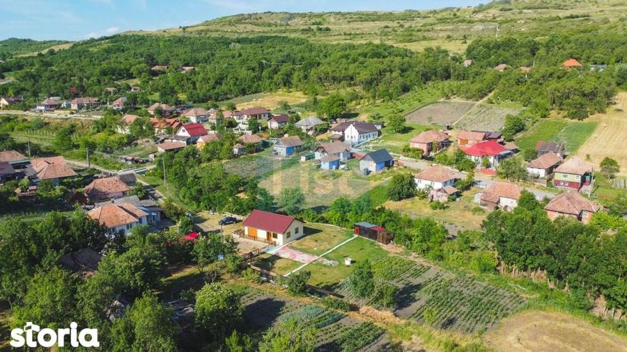 Casa cu teren de 3100 mp de vanzare in comuna Cornesti - 11