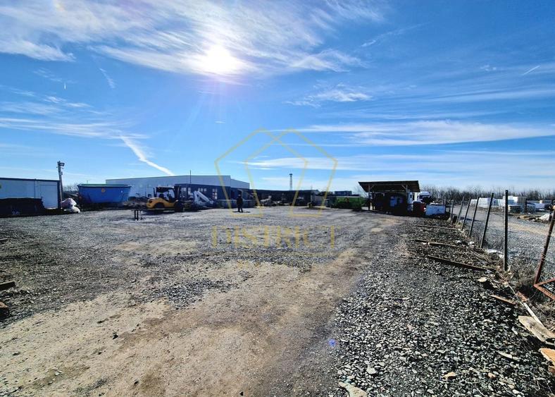 Teren / Platforma 1000mp de inchiriat | Mosnita Noua | Albina - 1