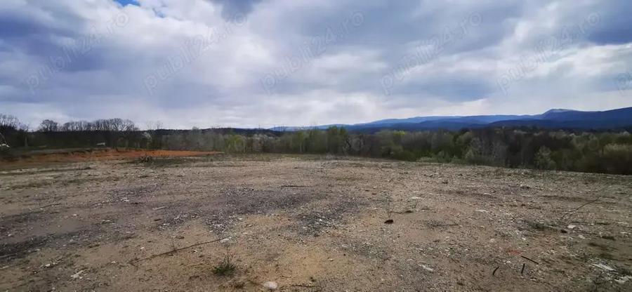 Teren 26500mp investitie dezvoltator imobiliar km 7 Calea Caransebesului 11 euro negociabil - 11