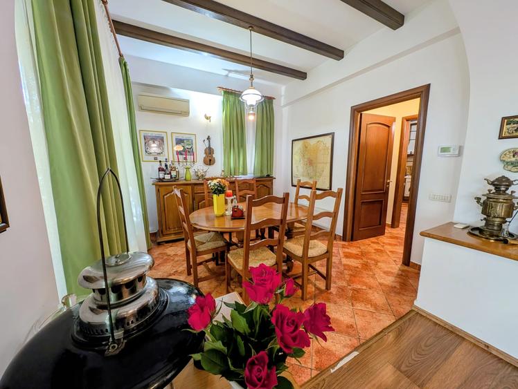 Jiului-Coralilor-Damaroaia,eleganta,robusta,garaj,curte intima,vegetatie matura - 12