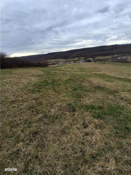 RECO Teren intravilan - 5