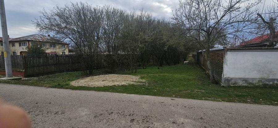 Teren intravilan ideal casa Crevedia Mica - 2