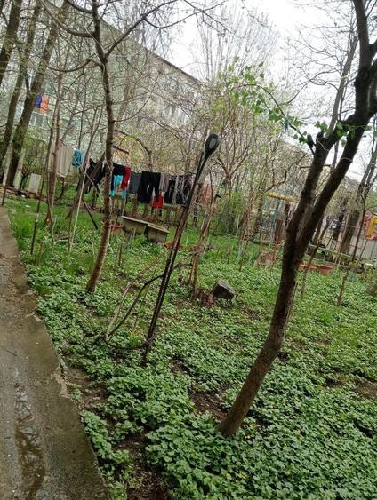 Ofer spre inchiriere - 7