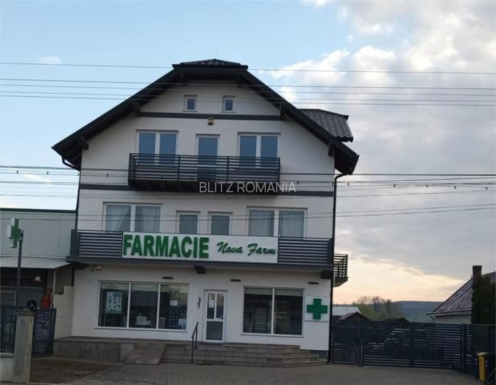 Oportunitate!! Casa individuala, afacere la cheie, Satu Mare